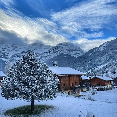 Cosy Dans Typique Region Diablerets Glacier 3000 Apartment *