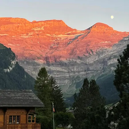 Cosy Dans Typique Region Diablerets Glacier 3000 Apartamento *