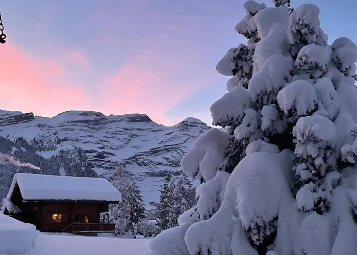 Cosy Dans Typique Region Diablerets Glacier 3000 Apartamento *