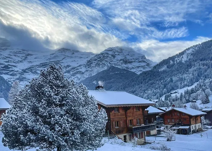Cosy Dans Typique Region Diablerets Glacier 3000 Apartamento *