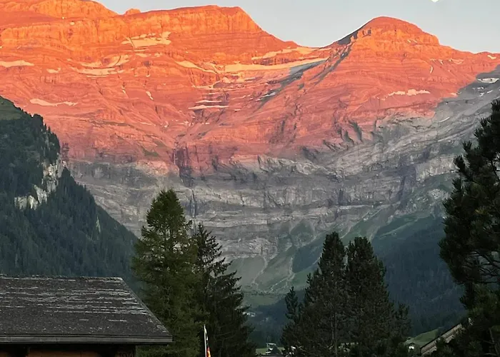 Cosy Dans Typique Région Diablerets Glacier 3000 Appartamento *