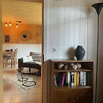 Cosy Dans Typique Region Diablerets Glacier 3000 アパート レ・ディアブルレ