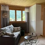 アパート Cosy Dans Typique Region Diablerets Glacier 3000