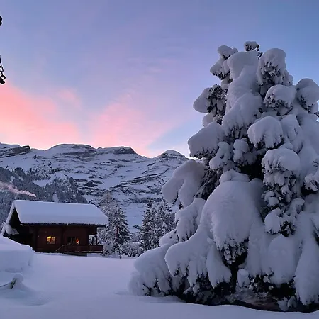 Cosy Dans Typique Region Diablerets Glacier 3000 アパート *