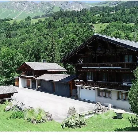 Cosy Dans Typique Region Diablerets Glacier 3000 アパート レ・ディアブルレ