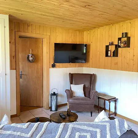 Cosy Dans Typique Region Diablerets Glacier 3000 公寓 莱迪亚布勒雷